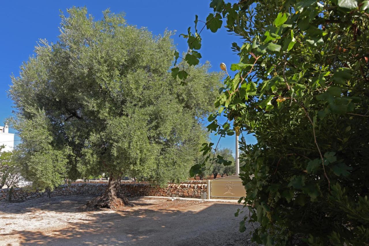 Dimora Torre Bianca Villa Ostuni Ngoại thất bức ảnh