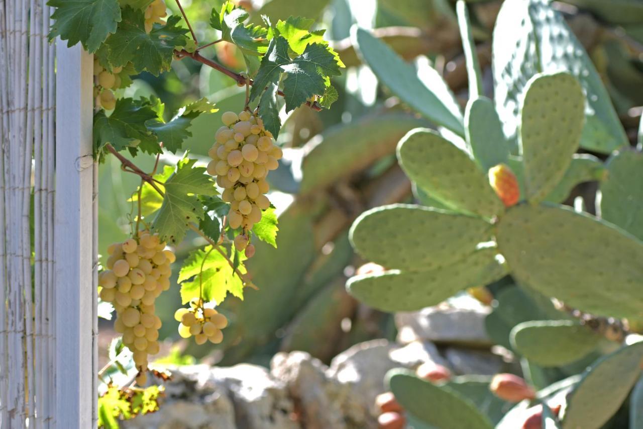 Dimora Torre Bianca Villa Ostuni Ngoại thất bức ảnh